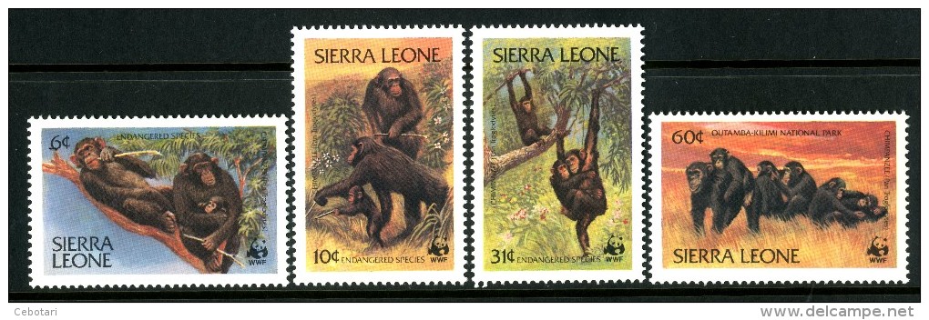 SIERRA LEONE 1983** - Scimpanze' -  4 Val. MNH Come Da Scansione - Chimpanzés
