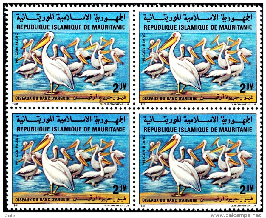 BIRDS-PELICANS-BLOCK OF 4-MAURITANNIA-MNH-A6-09 - Pélicans