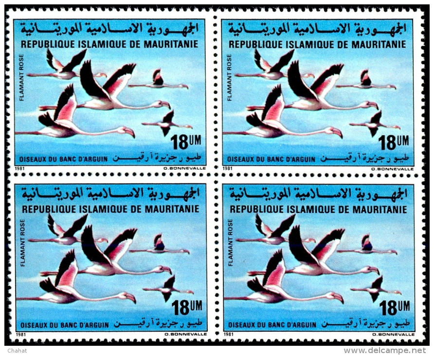 BIRDS-FLAMINGOS-BLOCK OF 4-MAURITANNIA-MNH-A6-10 - Flamingo