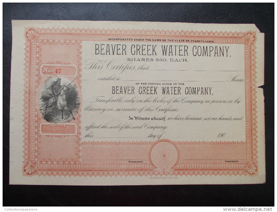 USA - Beaver Creek Water Company - Water