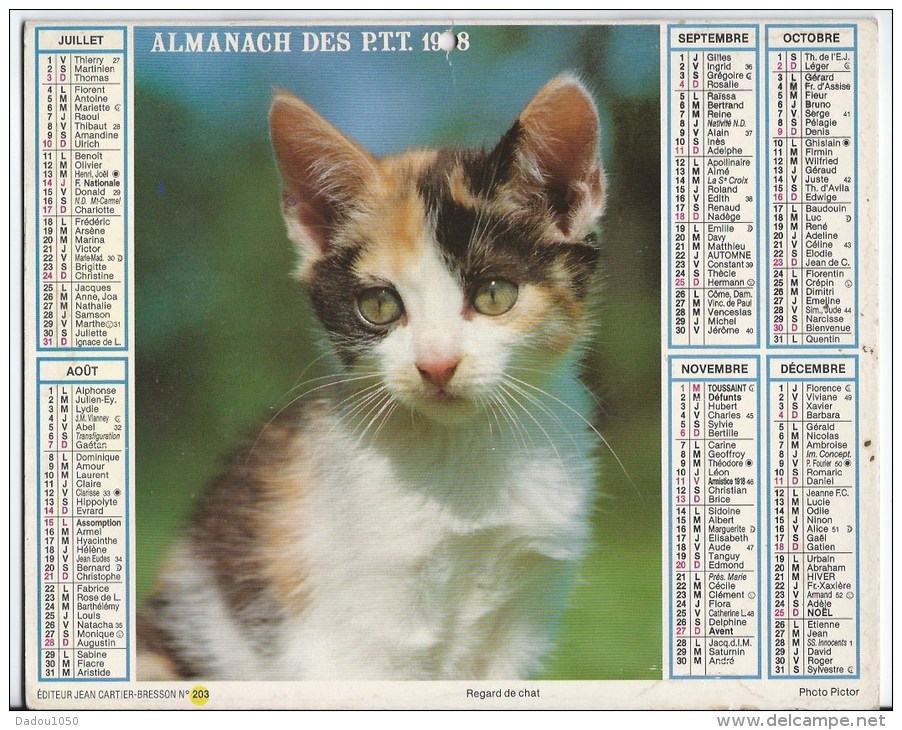 Calendrier Des Postes 1988 69 Rhone - Grand Format : 1981-90