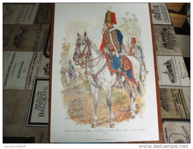 Uniformes ) Fanfaro/ Planche N°25 - L´histoire Des Hussards Prussiens 1721/1807 De Kurt Geiss Et August-wilhelm Stragand - Uniforms