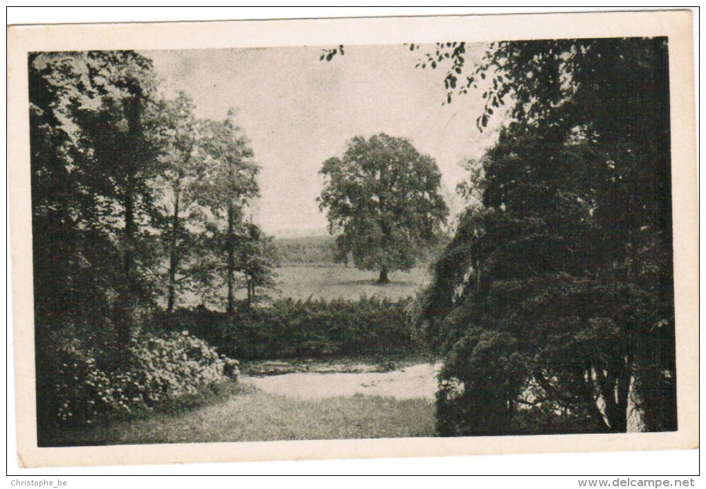 Muizen, Zicht Op Het Park Van Het Kasteel Planckendael (pk21898) - Mechelen