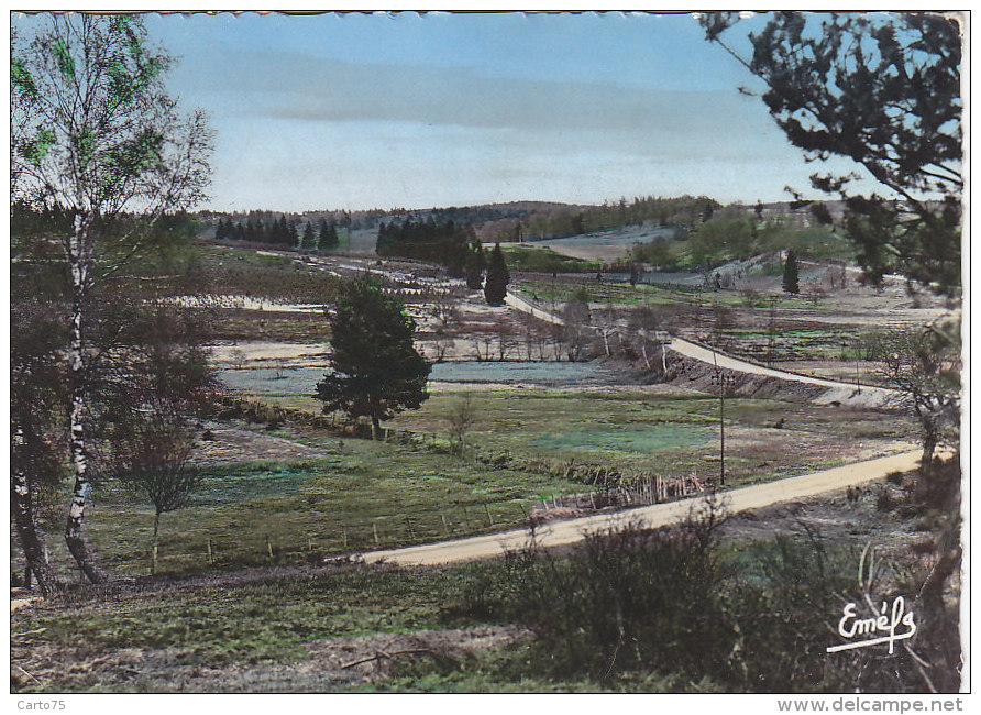 Plateau De Millevaches 23 - Magnat L'Etrange 1957 - Autres & Non Classés