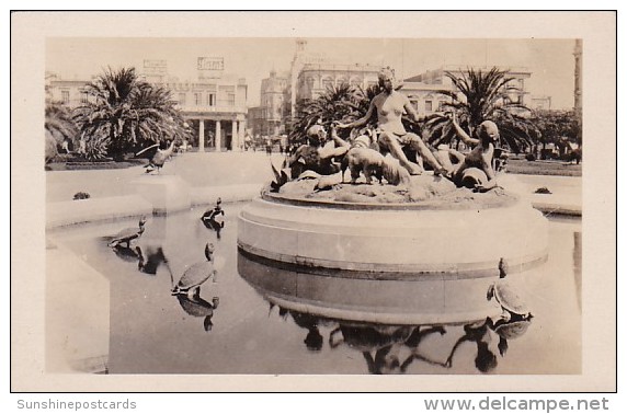 Uruguay Montevideo Group Of Fountains In Plaza Independencia Park Real Photo - Uruguay