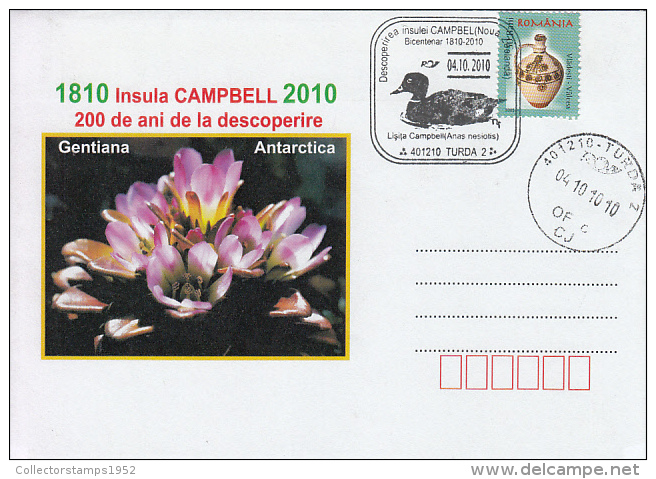 27688- CAMPBELL ISLAND, GENTIAN, CAMPBELL TEAL, SOUTH POLE, SPECIAL COVER, 2010, ROMANIA - Antarktischen Tierwelt