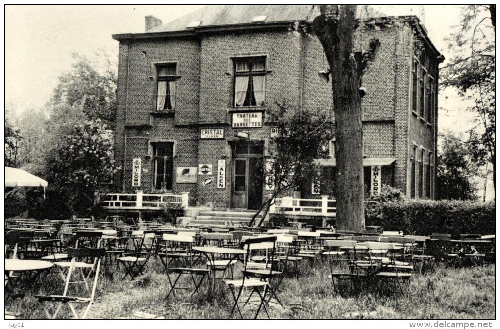 BELGIQUE - HAINAUT - HONNELLES - ROISIN - CAILLOU QUI BIQUE - Château Des Bargettes. - Honnelles