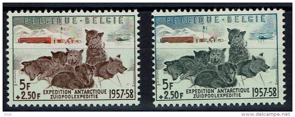 Belgien 1957 - Antartica Zuidpool - Hunde Dogs - MiNr 1072+1073 ** / OBP 1030+1031** - Ungebraucht