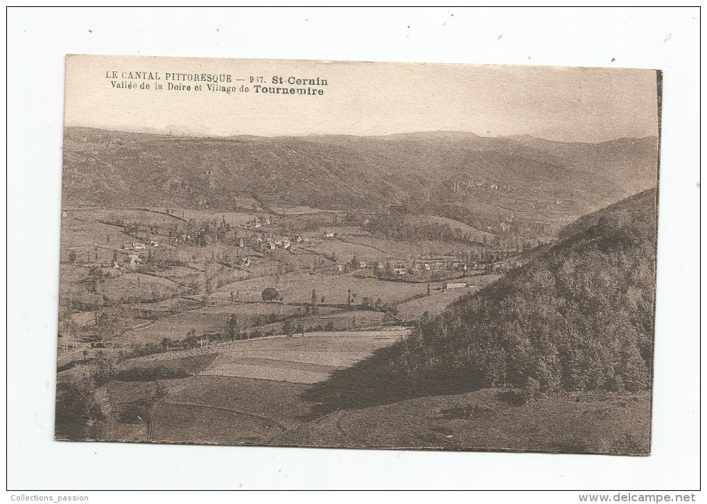 Cp , 15 , SAINT CERNIN , Vallée De La DOIRE Et Village De TOURNEMIRE , Vierge , Ed : Laborie - Sonstige & Ohne Zuordnung