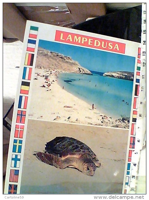 LAMPADUSA TARTARUGA TURRTLE VB1997 EY4627 - Tortues