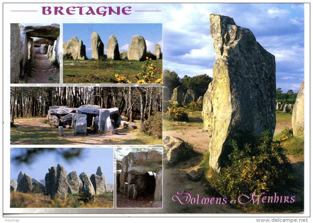 Bretagne Pittoresque : Dolmens & Menhirs (n°900) Multivues - Bretagne