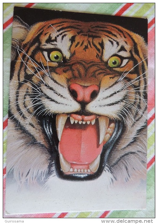 Sa Majesté Le Tigre : Illustration D'Henri Galeron Avec Un Extrait De Reginald Campbell, Folio Junior N°57 - Tigres