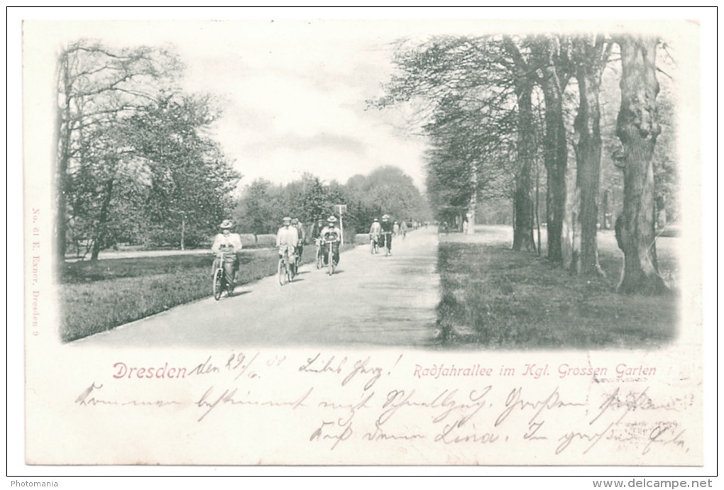 AK DRESDEN Radfahrallee Im Königlichen Großen Garten, Radfahrer 1900 - Dresden