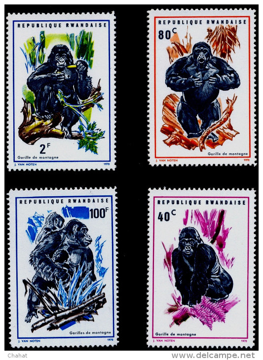 WILD LIFE-CHIMPANZEES-SET OF 8-RWANDA-MNH-A6-524 - Chimpanzees