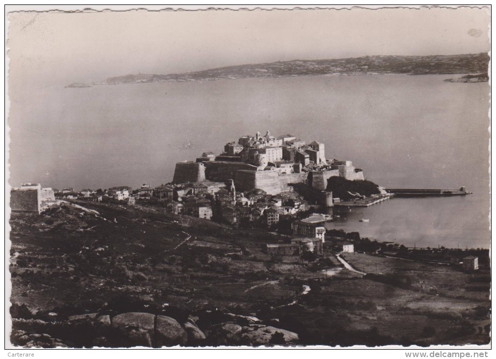 CORSE,CALVI,BALAGNE,VILLE DE RESISTANT ANTI FASCISTE,PENDANT LA GUERRE,photo De TOMASI - Calvi