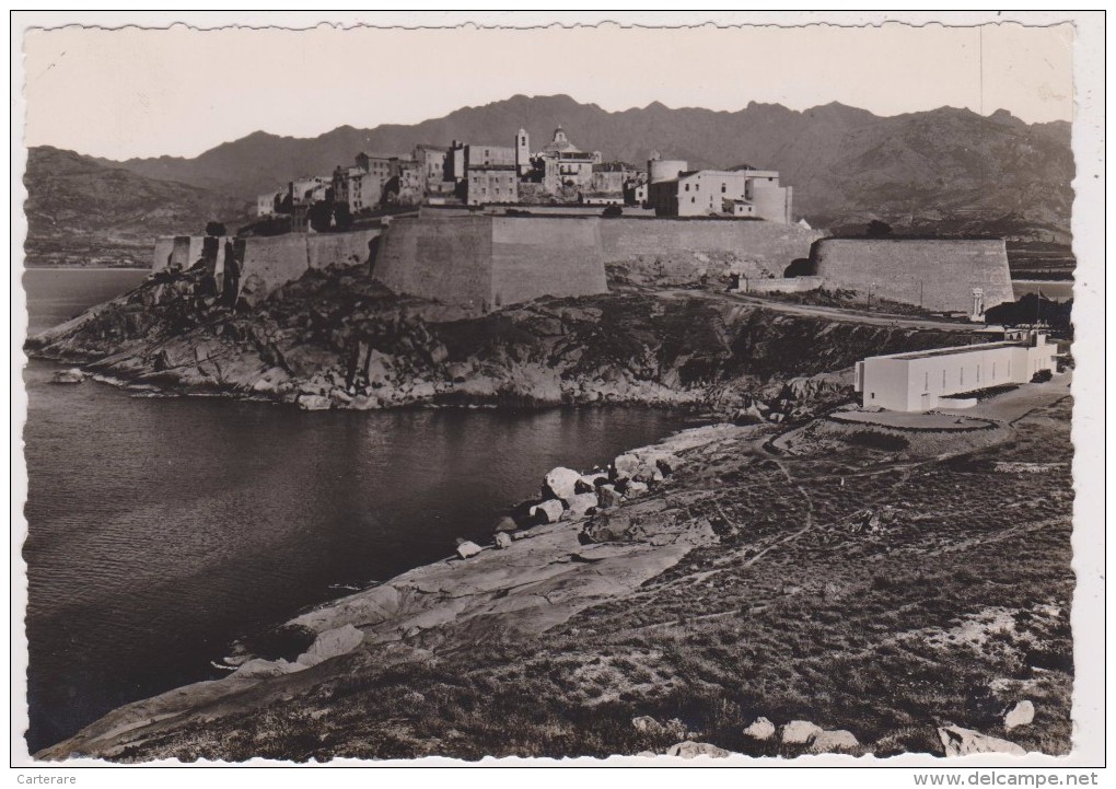 CORSE,CALVI,BALAGNE,VILLE DE RESISTANT ANTI FASCISTE,PENDANT LA GUERRE,photo De TOMASI - Calvi