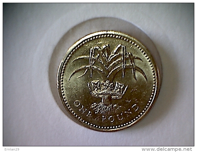 Grande Bretagne 1 Pound 1990 - J. 1 Florin / 2 Schillings