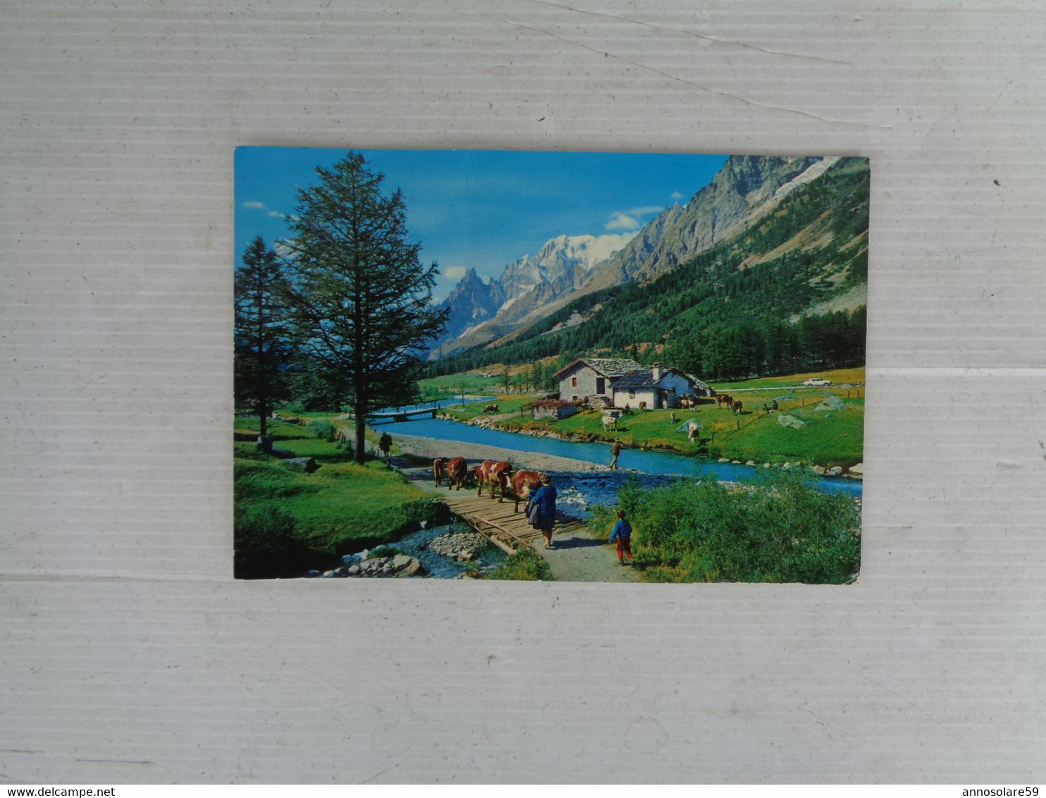 CARTOLINA: COURMAYEUR (VALLE D'AOSTA) PASCOLI IN VAL FERRET Mt. 1600 (MOVIMENTATA) - VIAGGIATA - F/G - COLORI - LEGGI - Andere & Zonder Classificatie