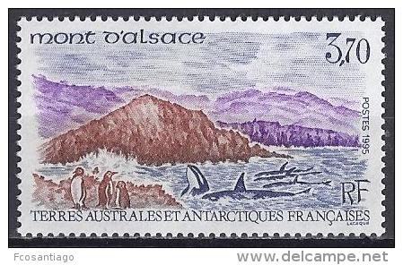 ANTARTIDA FRANCESA 1995 - Yvert #200 - MNH ** - Nuevos