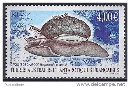 ANTARTIDA FRANCESA 2005 - Yvert #411 - MNH ** - Nuevos