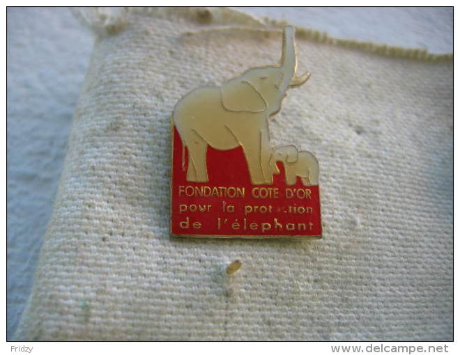 Pin´s De La Fondation COTE D'OR Pour La Protection De L'Elephant - Animaux