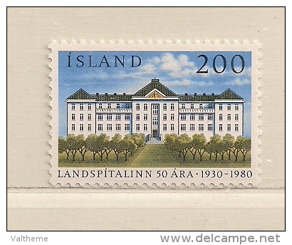 ISLANDE  ( EUIS - 158 )  1980  N° YVERT ET TELLIER     N° 514     N** - Unused Stamps