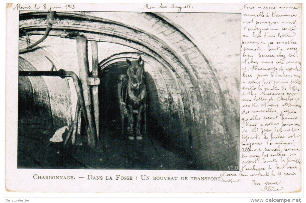 Charbonnage, Dans La Fosse, Un Bouveau De Transport  (pk24102) - Mines