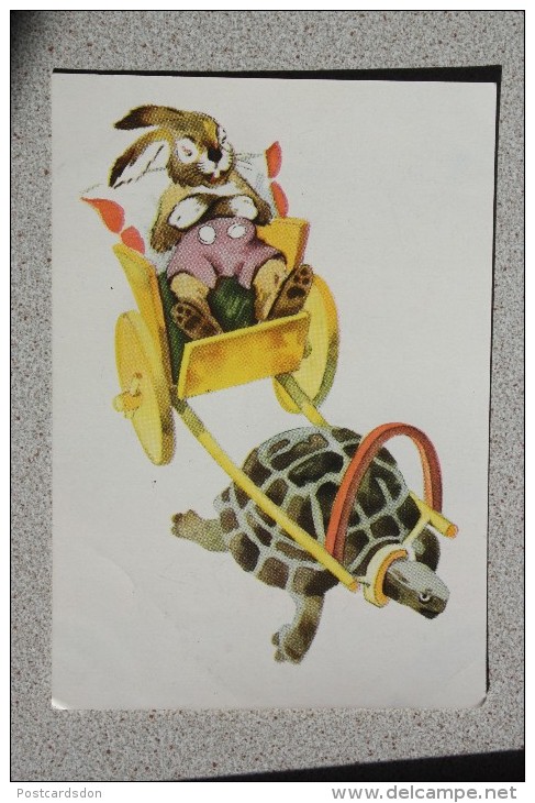 HARE RIDING TURTLE - Soviet PC - Humour - 1957 - Turtles