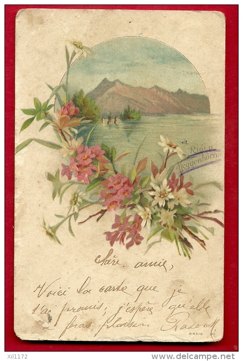 FXH-23  Litho Meggenhorn Und Rigi. Blumen. Pioneer. Gelaufen In 1901 - Meggen