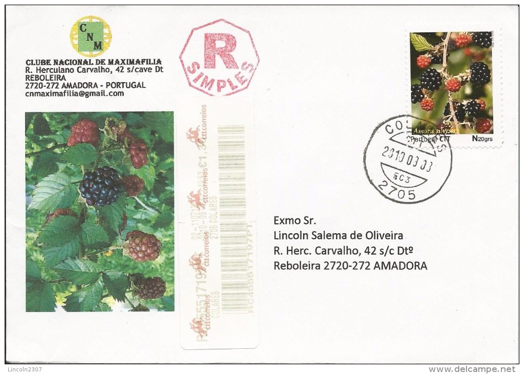 LSJP PORTUGAL COVER PERSONALISED STAMP FRUIT FRUTA AMORA SILVESTRE 2010 - Covers & Documents