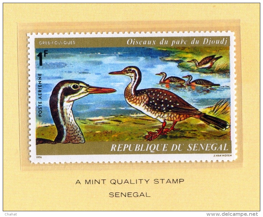 BIRDS-PETER'S FINFOOT-INTERNATIONAL COUNCIL FOR BIRD PRESERVATION-COLLECTOR'S PACK-MNH-FC-67-3 - Albatrosse & Sturmvögel