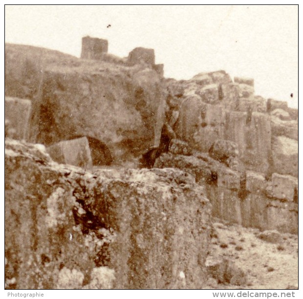 Moyen-Orient Proche Orient Liban Ruines De Baalbeck Ancienne Photo 1880 - Old (before 1900)