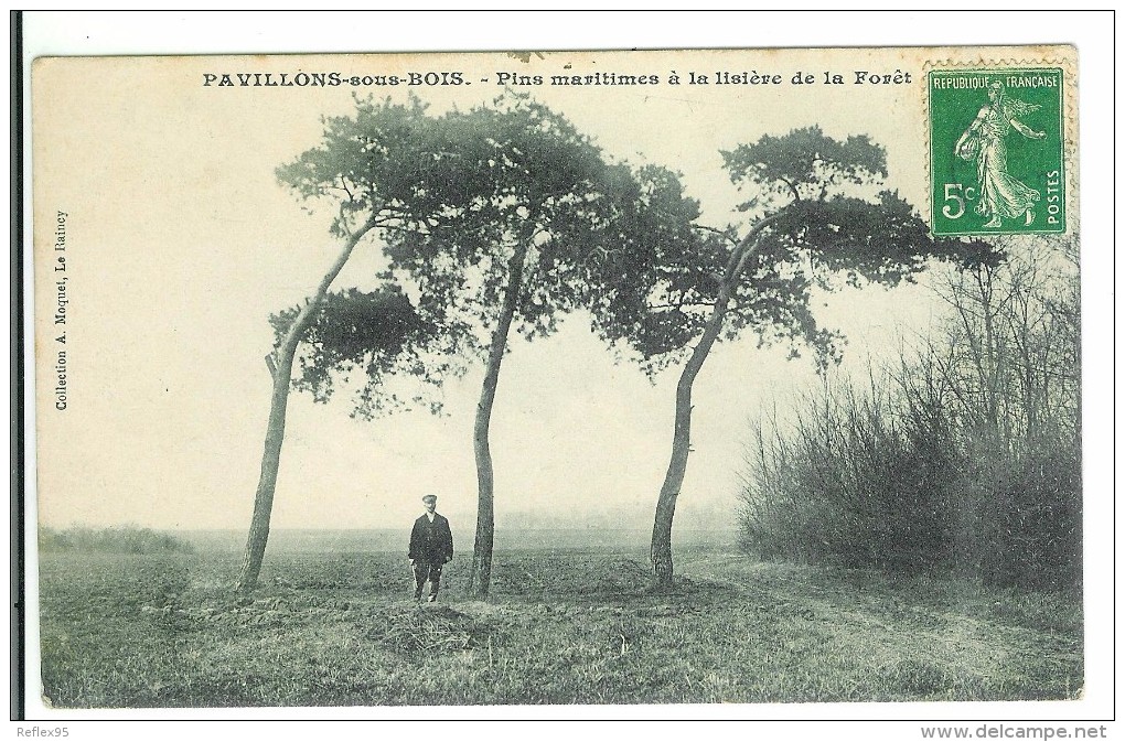 LES PAVILLONS SOUS BOIS - Pins Maritimes à La Lisière De La Forêt - Les Pavillons Sous Bois