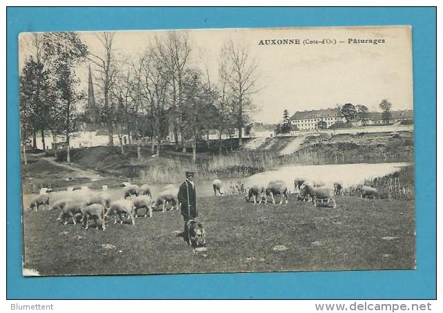 CPA Berger Et Ses Moutons - Pâturages AUXONNE 21 - Auxonne