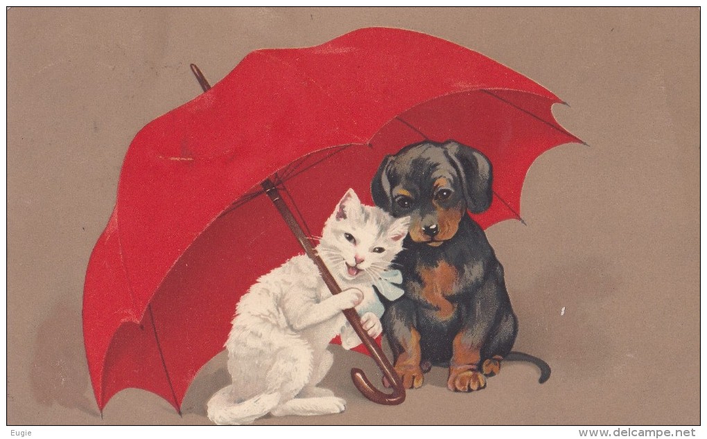 864/  Oude Getekende Kaart, Hond En Poes, Onder Paraplu, Teckel, 1913 - Chiens