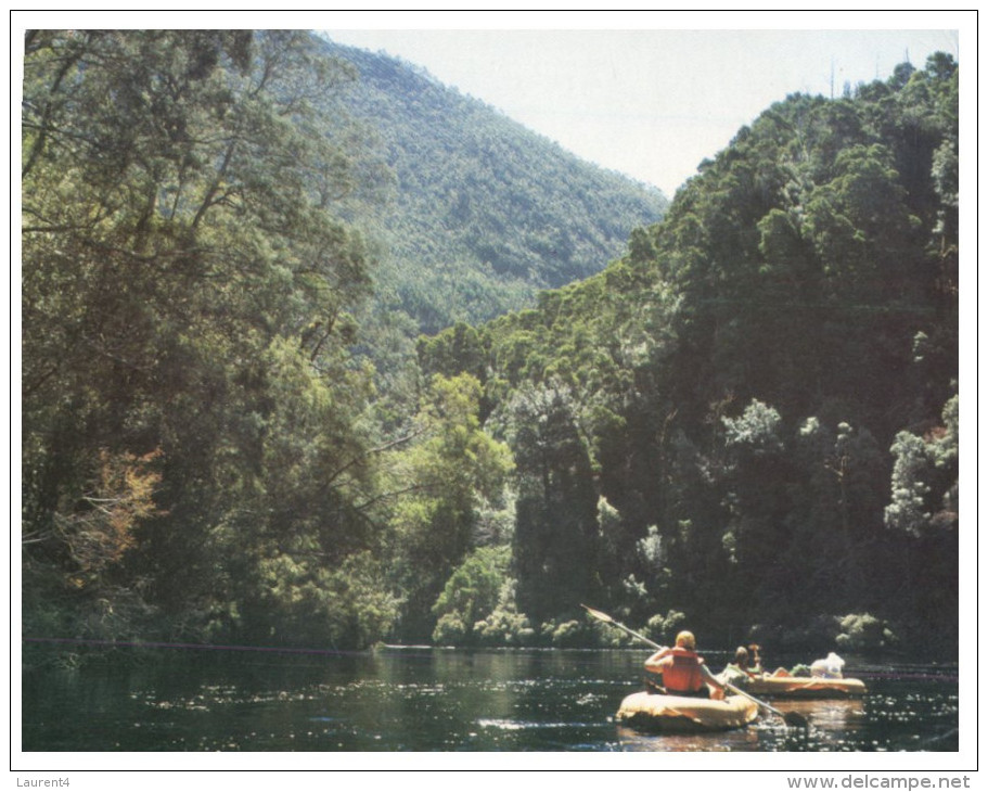 (361) Australia - TAS - Gordon River, Sunshine Gorge Canoeing - Wilderness