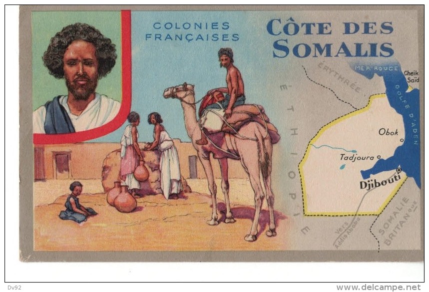 COLONIES FRANCAISES COTE DES SOMALIS COLLECTION LION NOIR - Djibouti