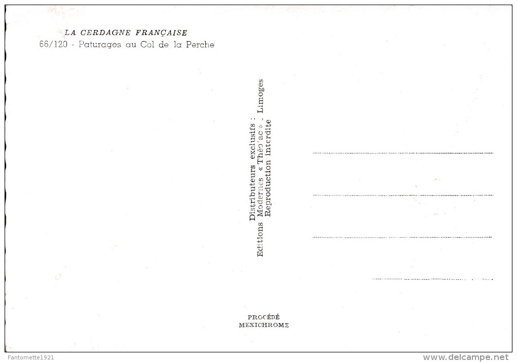 BERGER AU COL DE LA PERCHE (DIL11) - Sonstige & Ohne Zuordnung