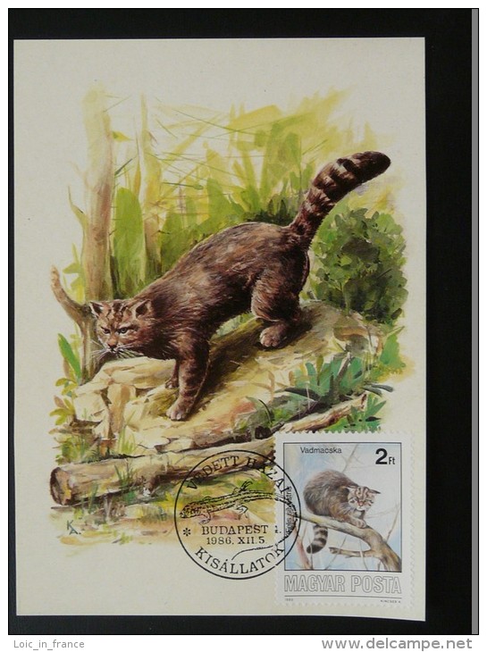Carte Maximum Card Chat Sauvage Wild Cat Hongrie Hungary Ref 72451 - Katten