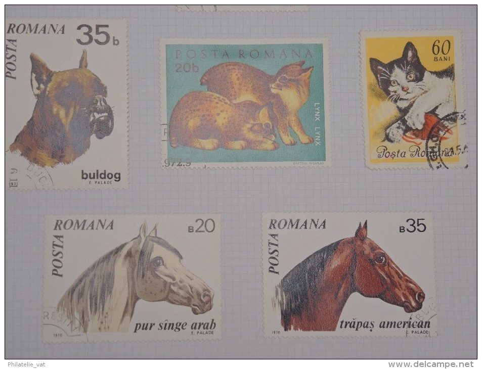 ROUMANIE - Petite collection à étudier - Petit prix - A voir - Lot n° 9545