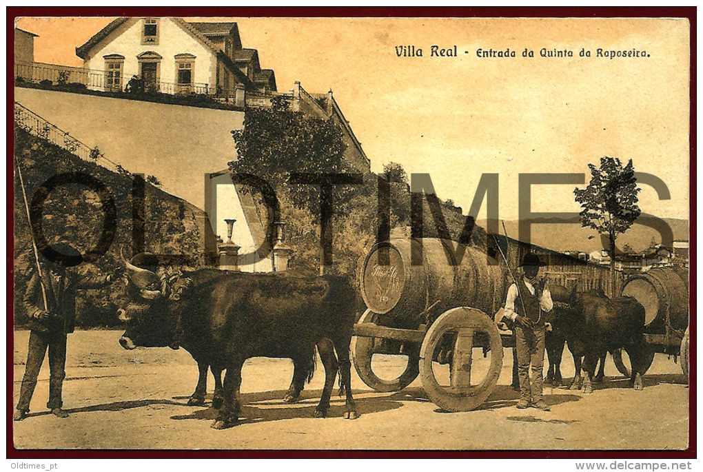 VILA REAL - ENTRADA DA QUINTA DA RAPOSEIRA - 1910 PC - Vila Real