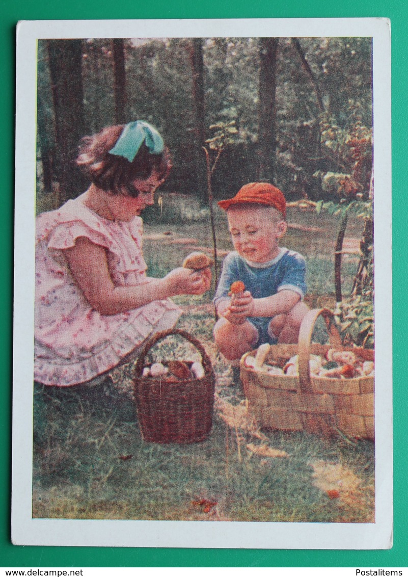 15774 Russia Soviet Children Mushrooms. 1957 - Scènes & Paysages