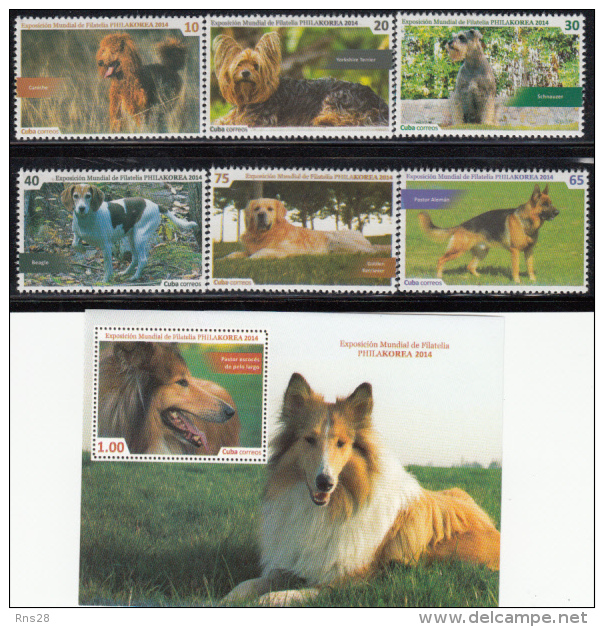 CUBA 2014 Dogs - Unused Stamps