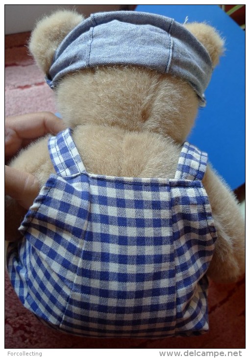 Vintage plush toy TEDDY BEAR - SAM with wooden box