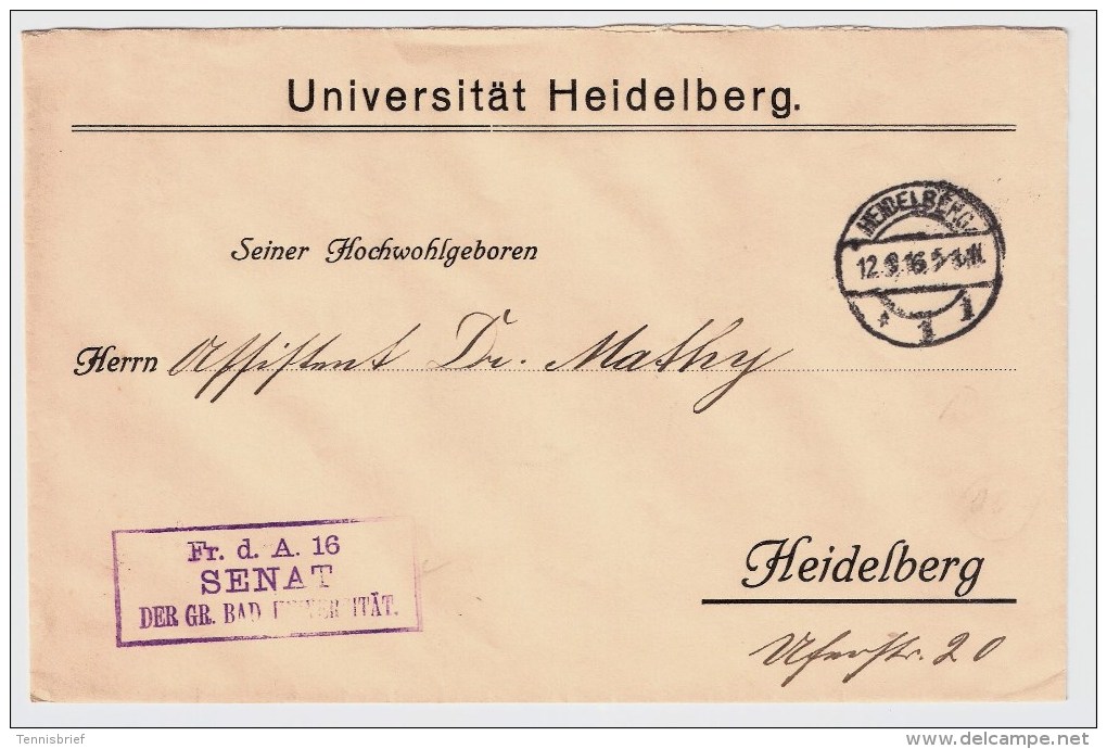 DR, 1916, Uni Heidelberg " Frei D.A. 16 "  ,  #3519 - Officials