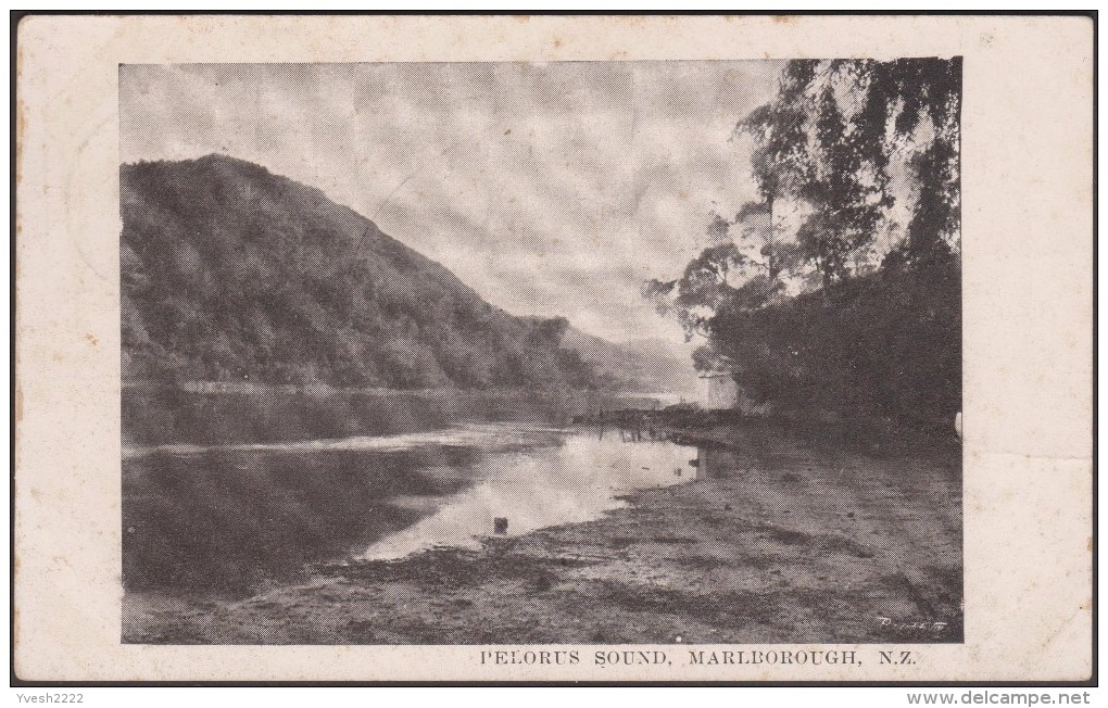 NZ 1907. Carte Postale Télégraphique, Pour Les Vœux De Noël Et Nouvel An. Bras De Mer Du Pelorus, Marlborough - Montañas
