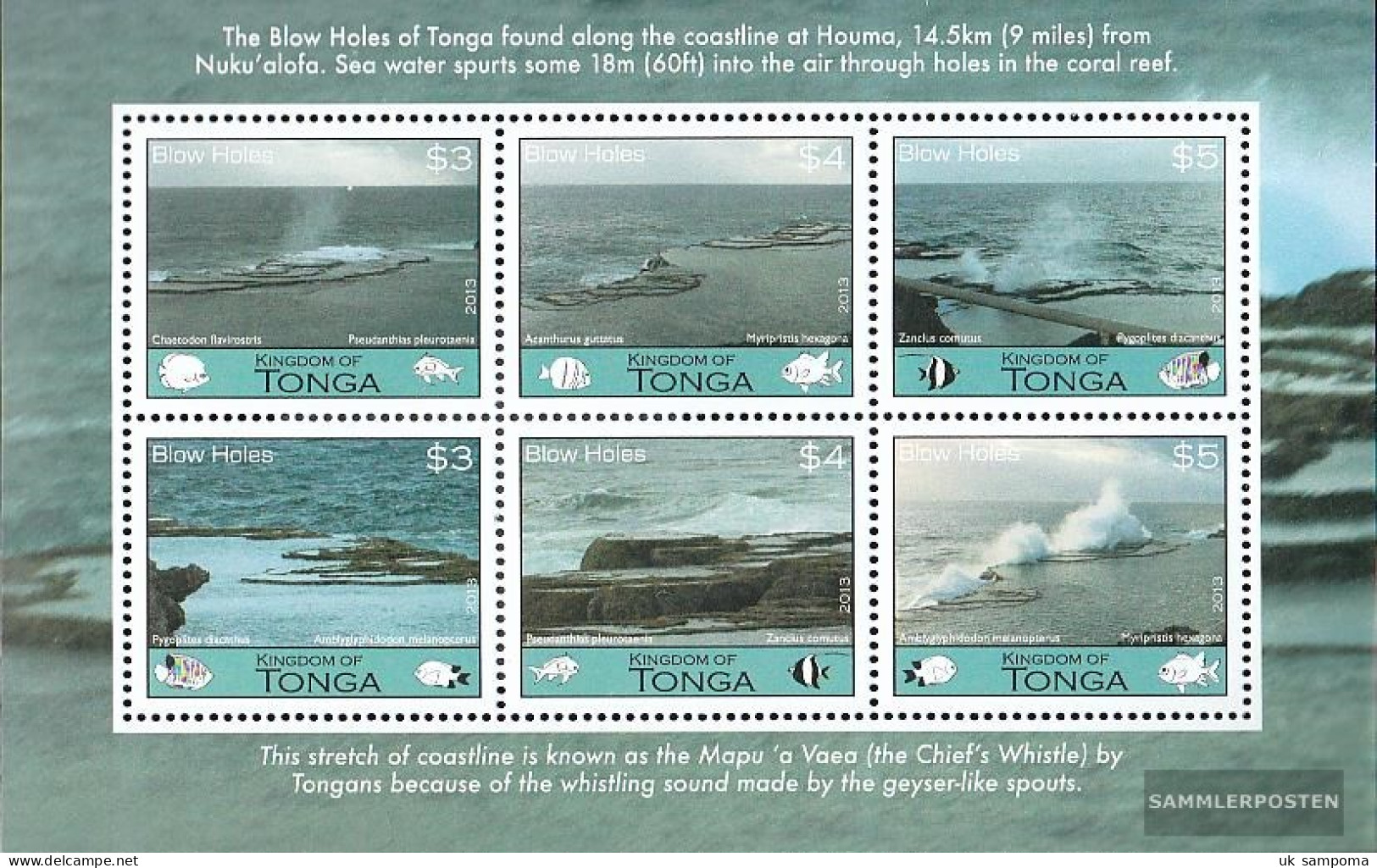 Tonga Block64 (complete Issue) Unmounted Mint / Never Hinged 2013 Blaslöcher And Fish - Tonga (1970-...)