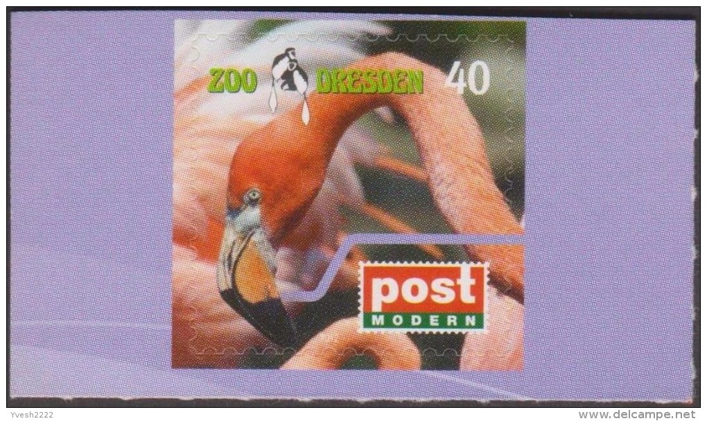 Allemagne 22 Mai 2012. Poste Locale Post Modern De Dresde. Zoo De Dresden, Flamant - Fenicotteri