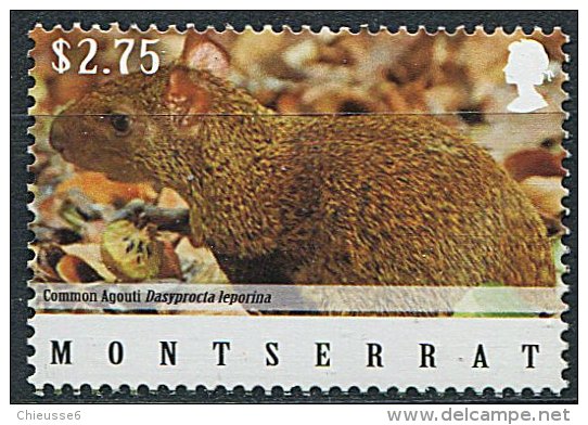 (cl. 5 - P.27) (lo 1) Montserrat **  (ref. Michel Au Dos)  -  Rongeur : L'agouti  - - Montserrat