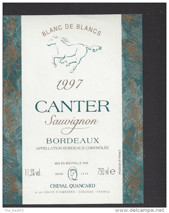 Etiquette De Vin Bordeaux Sauvignon  1997 - Canter - Thème Chevaux - Cheval Quancard  Ambarès  (33) - Chevaux